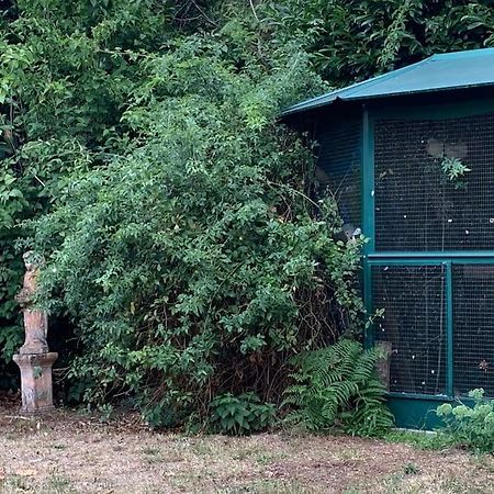 Maisonnette En Clairiere De Foret Gambais 外观 照片