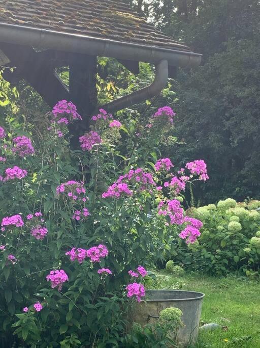 Maisonnette En Clairiere De Foret Gambais 外观 照片