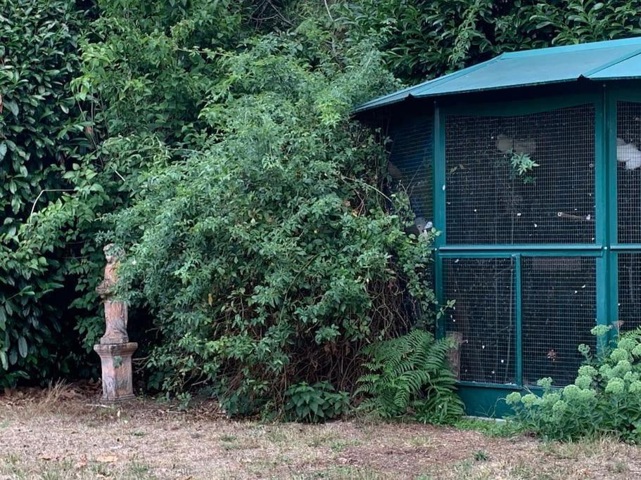 Maisonnette En Clairiere De Foret Gambais 外观 照片