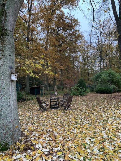Maisonnette En Clairiere De Foret Gambais 外观 照片