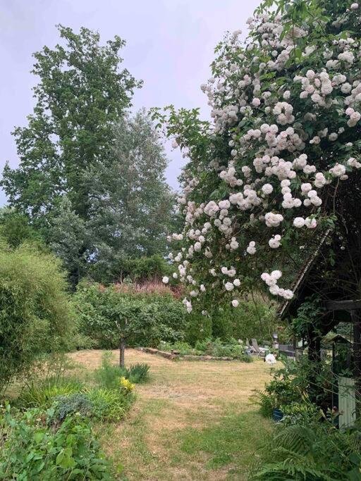 Maisonnette En Clairiere De Foret Gambais 外观 照片