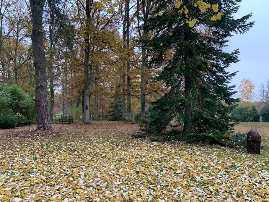 Maisonnette En Clairiere De Foret Gambais 外观 照片