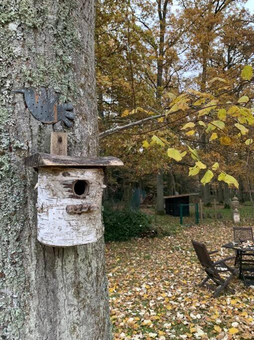 Maisonnette En Clairiere De Foret Gambais 外观 照片